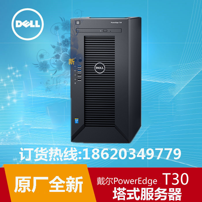 Dell戴尔PowerEdge T30塔式服务器/深圳dell总代理/dell t30服务器